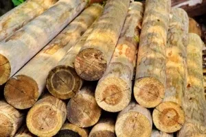 Diverse ronde tuinpalen