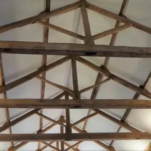 De eigenschappen van eikenhout